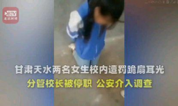 女人逼逼视频,情感宣泄还是隐私泄露？